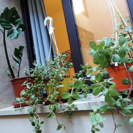 Apartamento Siracusa,tra Ortigia E Il Mare Syracuse